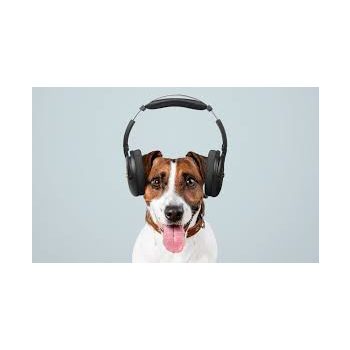 Fül és hallásvédelem